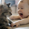 Evinde kedi veya köpek besleyenler dikkat Evinde kedi veya köpek besleyenler dikkat