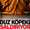 İnter'den Resmi Melo Açıklaması! İnter'den Resmi Melo Açıklaması!