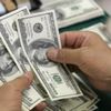 Merkez Bankası sahaya indi Merkez Bankası sahaya indi