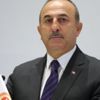 Cezayirlilerden Dışişleri Bakanı Mevlüt Çavuşoğlu'na destek Cezayirlilerden Dışişleri Bakanı Mevlüt Çavuşoğlu'na destek