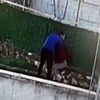 Kahreden olay! Sokakta kadına şiddet! Kahreden olay! Sokakta kadına şiddet!