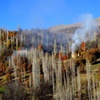 Bitlis'te sonbahar Bitlis'te sonbahar