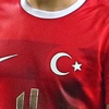 Milli Takım, Danimarka yolcusu Milli Takım, Danimarka yolcusu