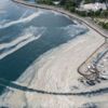 Deniz salyası sağlığı da etkiliyor Deniz salyası sağlığı da etkiliyor