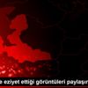 Köpeklere eziyet ettiği görüntüleri paylaşınca yakalandı