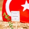 İDDEF'ten Afrika'da fidan seferberliği İDDEF'ten Afrika'da fidan seferberliği