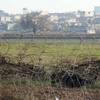 Kobani bilançosu açıklandı