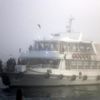 İstanbul'da deniz ulaşımına sis engeli