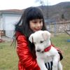 Okullar terkedilmiş köpeklerin yuvası oldu Okullar terkedilmiş köpeklerin yuvası oldu