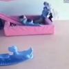 Köpeklerden kaçarken denize düşen karacayı balıkçılar kutardı Köpeklerden kaçarken denize düşen karacayı balıkçılar kutardı