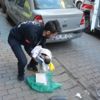 Vicdansızlar! Yeni doğmuş bebeği çöpe attılar Vicdansızlar! Yeni doğmuş bebeği çöpe attılar