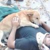 Köpeğin vefası şaşkına çevirdi Köpeğin vefası şaşkına çevirdi