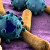 Bakteri DNA'sına hareketli görüntü kaydedildi Bakteri DNA'sına hareketli görüntü kaydedildi