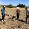 Çeşmeli üretici kısıtlama günlerinde de üretimde Çeşmeli üretici kısıtlama günlerinde de üretimde