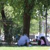 Güneydoğu'da sıcaklık 40 dereceyi aştı! Uzmanlar uyardı: Ölümcül olabilir Güneydoğu'da sıcaklık 40 dereceyi aştı! Uzmanlar uyardı: Ölümcül olabilir