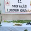 Erfelek’te uyuşturucu operasyonu Erfelek’te uyuşturucu operasyonu