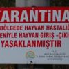 Kocaeli’de şarbon paniği: 3 köy karantinaya alındı Kocaeli’de şarbon paniği: 3 köy karantinaya alındı
