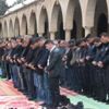 Çavuşoğlu ve Oktay Yeni Zelanda'ya gidiyor