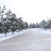 Sivas buz tuttu