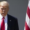Trump, Bush'un cenaze törenine katılacak Trump, Bush'un cenaze törenine katılacak