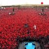 İstanbul Yenikapı'ya akacak! İstanbul Yenikapı'ya akacak!