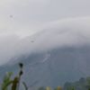 ﻿Merapi Yanardağı'nda volkanik hareketlilik