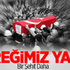 Şırnak'ta Hain Saldırı: 1 Şehit