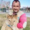 Hayvanat bahçesindeki aslan bakıcısının parmağını kopardı Hayvanat bahçesindeki aslan bakıcısının parmağını kopardı