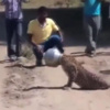 Su içerken bu hale geldi Su içerken bu hale geldi