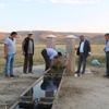 Kokusuna aldırmadan kana kana içiyorlar Kokusuna aldırmadan kana kana içiyorlar