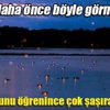 Onları daha önce böyle görmediniz!