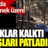 ﻿Yasaklar kalktı satışlar patladı