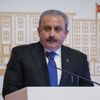 TBMM Başkanı Şentop: Almanya'da ırkçı eylemlerin geliştiğini endişeyle takip ediyoruz