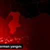 Hatay da orman yangını Hatay da orman yangını