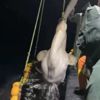 Aydınlı balıkçıların ağına takıldı. İnsanlıklarını parayla satmadılar