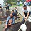 'Canavar' balığa av yasağı yok 'Canavar' balığa av yasağı yok