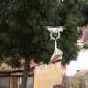 Bakkaldan ekmeğini drone ile aldı