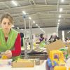 Sinop’a yabancı yatırım