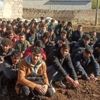 Sınırda 188 düzensiz göçmen yakalandı