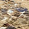 Myanmar ordusu, Arakan'da toplu mezar buldu
