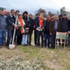 301 madenci için 301 zeytin fidanı 301 madenci için 301 zeytin fidanı