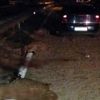 Bir otomobil 50 koyunu telef etti Bir otomobil 50 koyunu telef etti