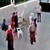 11 yıllık husumet! Konya'daki katliamın nedeni 11 yıllık husumet! Konya'daki katliamın nedeni