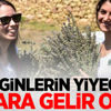 Zenginlerin yiyeceği onlara gelir oldu! Zenginlerin yiyeceği onlara gelir oldu!