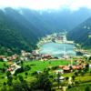 Doğu Karadeniz'de konut alımı düştü