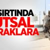 At sırtında kutsal topraklara