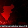 Ayva fiyatındaki artış üreticileri sevindirdi Ayva fiyatındaki artış üreticileri sevindirdi