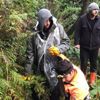 Yaban mersini toplamaya gitmişlerdi bu sabah bulundular Yaban mersini toplamaya gitmişlerdi bu sabah bulundular