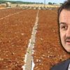 Bakan Pakdemirli açıkladı! 12 buçuk liranın altına inmeyecek Bakan Pakdemirli açıkladı! 12 buçuk liranın altına inmeyecek