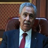 Bülent Arınç: Adiliktir, alçaklıktır Bülent Arınç: Adiliktir, alçaklıktır